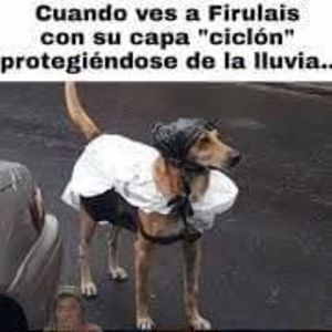 Meet your Posher, Valentin